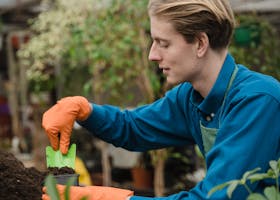 pexels-photo-6508562-6508562 A young gardener planting seedlings in a greenhouse, showcasing eco-friendly horticulture practices.